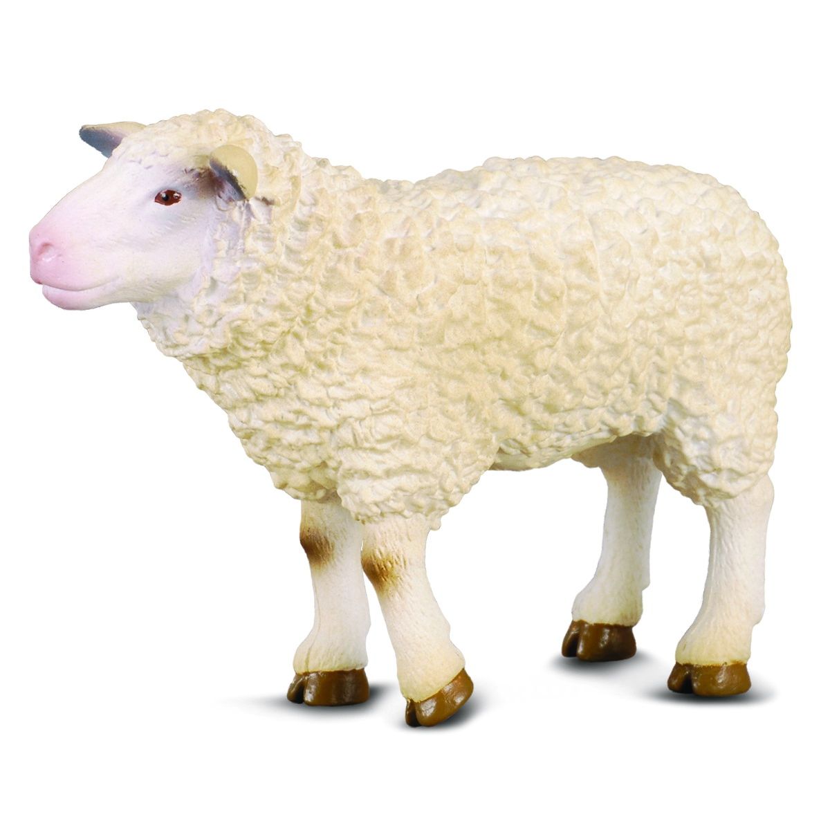 Pecore