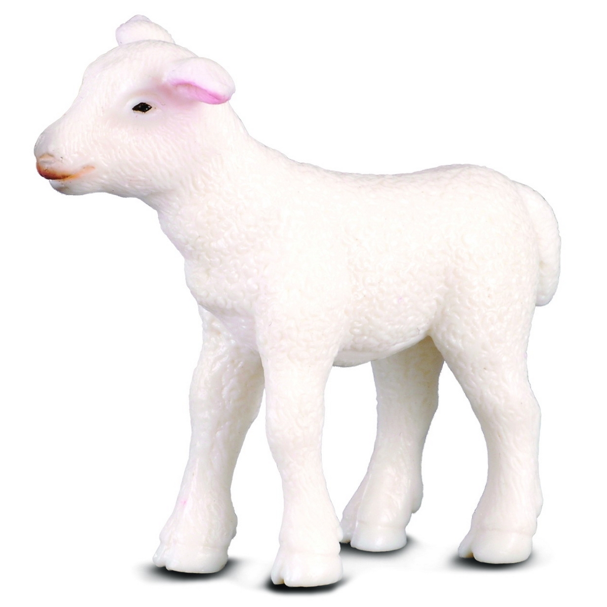 Agnello - in Piedi