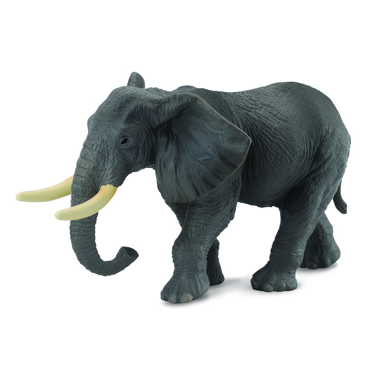 Elefante Africano