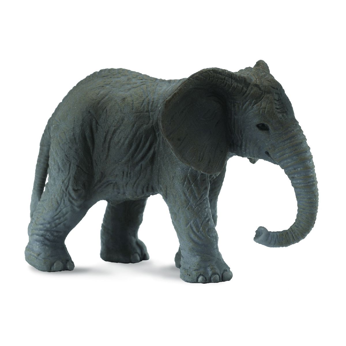 Cucciolo di Elefante Africano