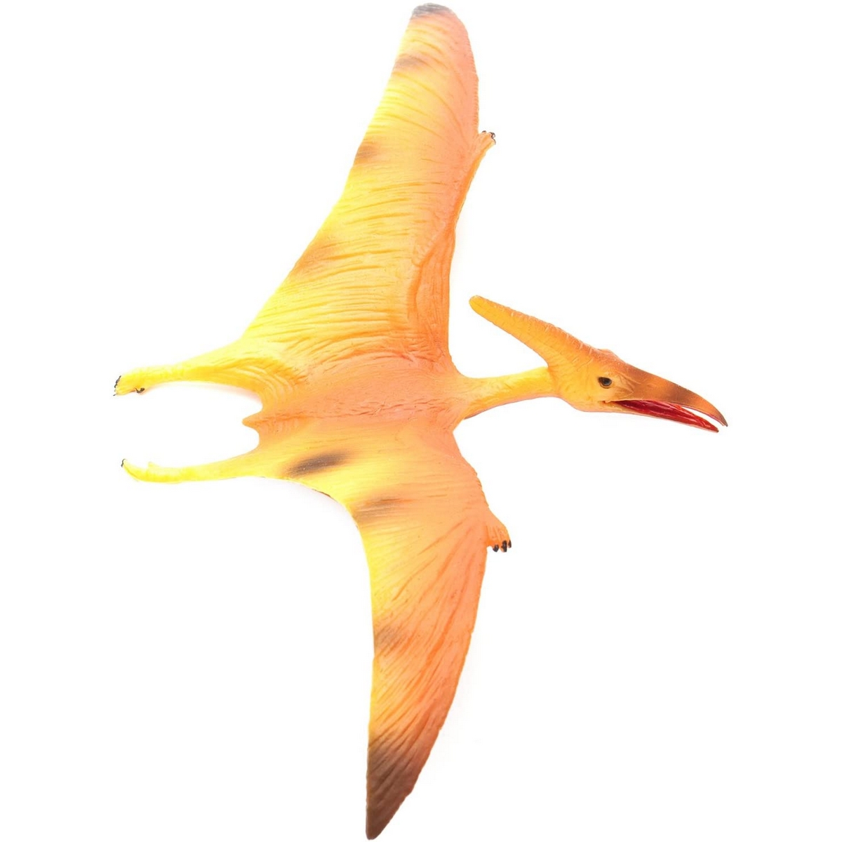 Pteranodon