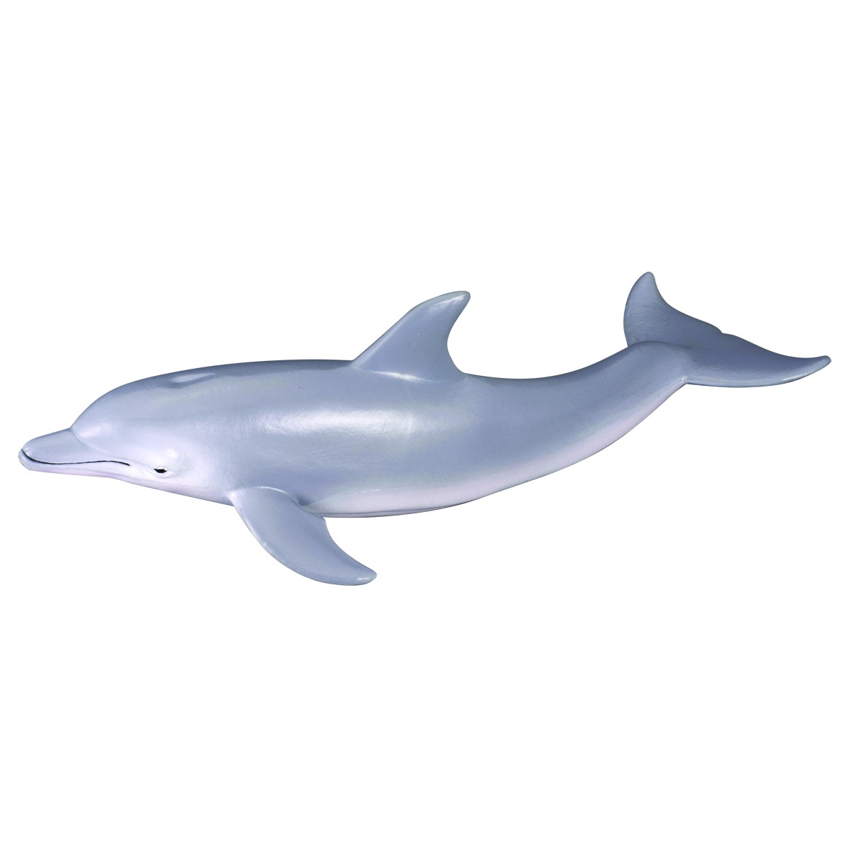 Delfino di Bottlenose