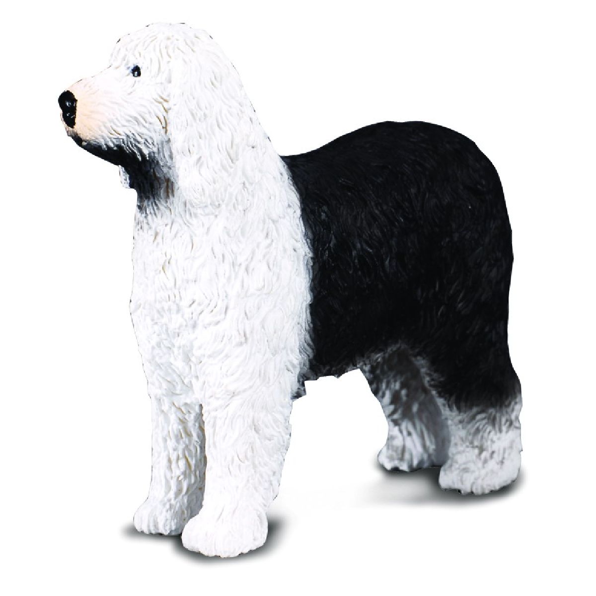 Bobtail - Cane da pastore inglese