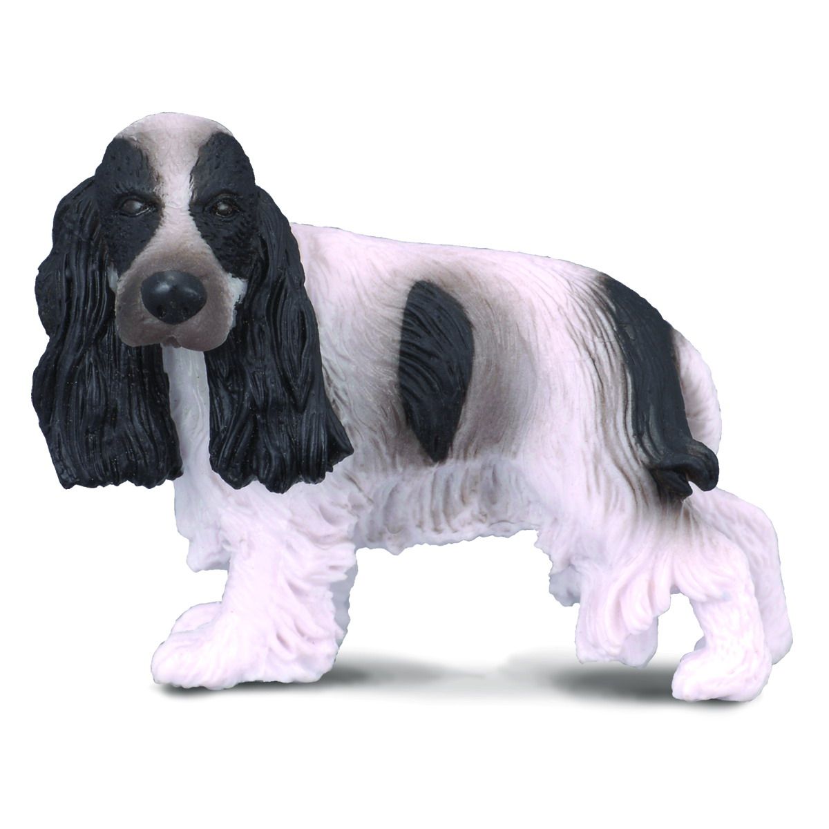 Cocker spaniel inglese