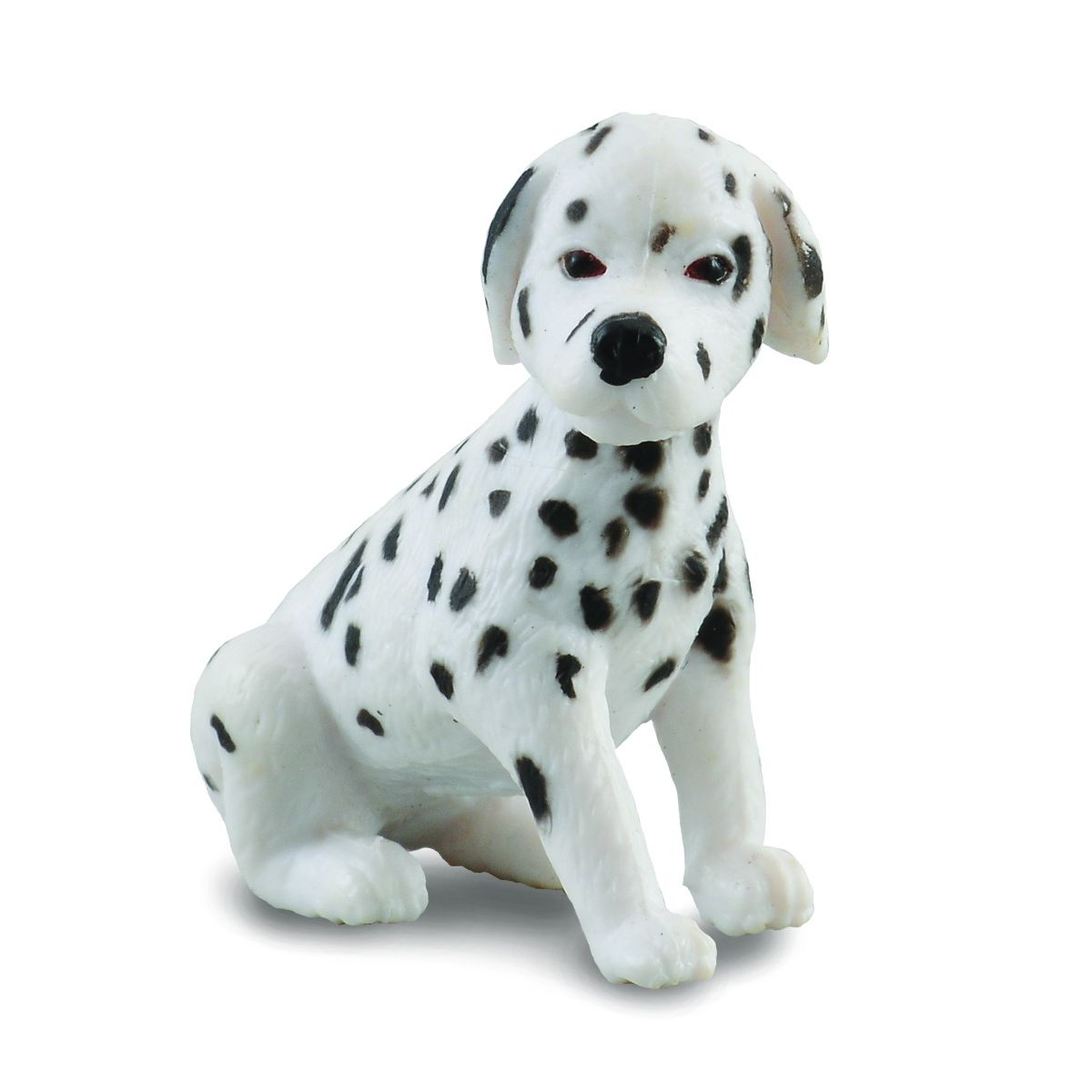 Dalmata Cucciolo