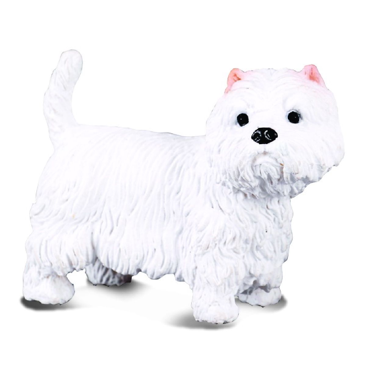West Highland White Terrier