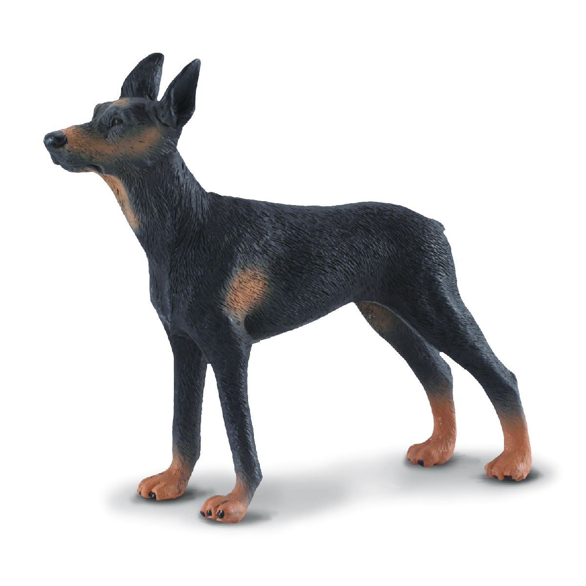 Dobermann Pinscher