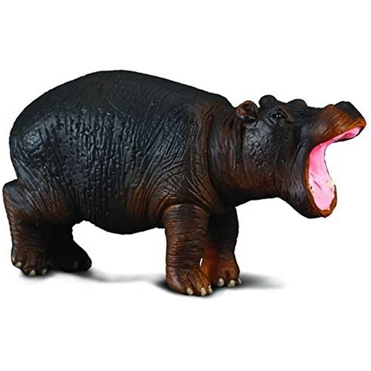Ippopotamo Cucciolo