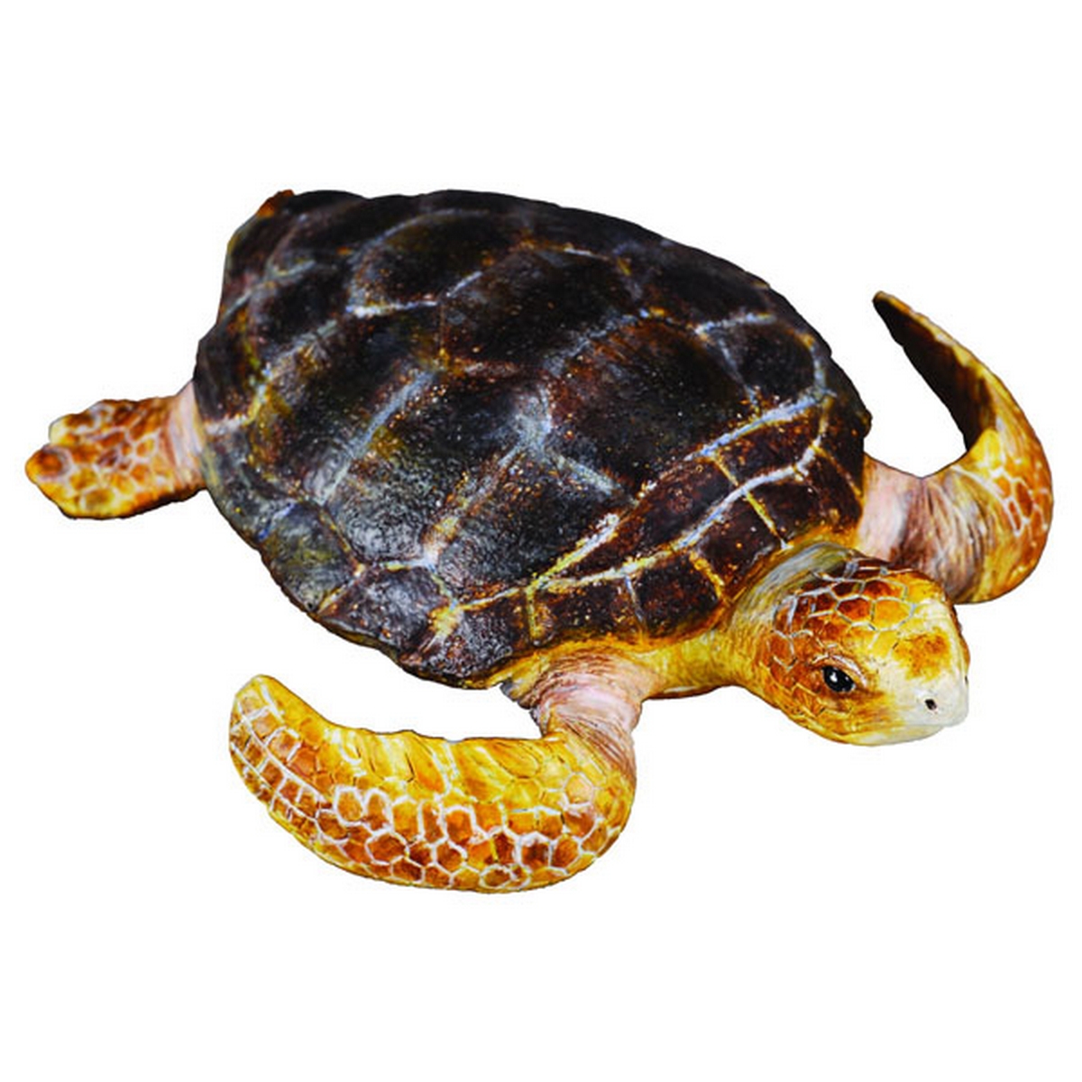 Tartaruga del Loggerhead