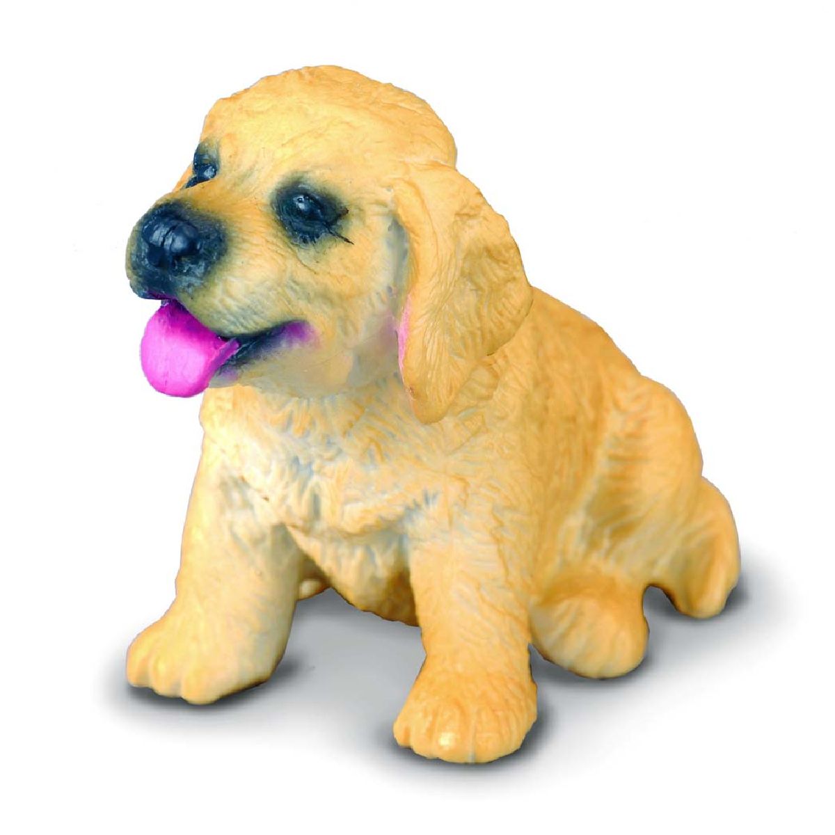 Golden Retriever Cucciolo