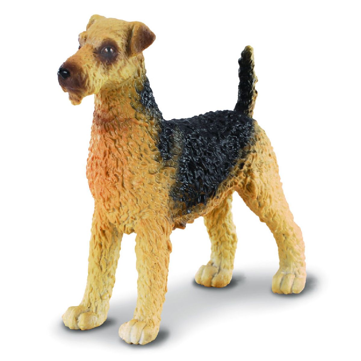 Airedale Terrier