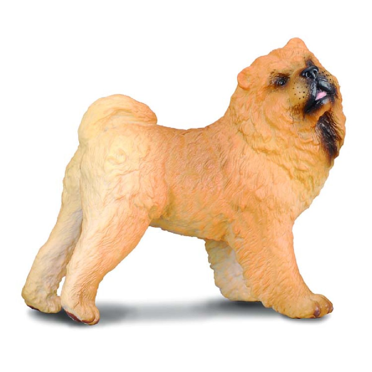 Chow Chow