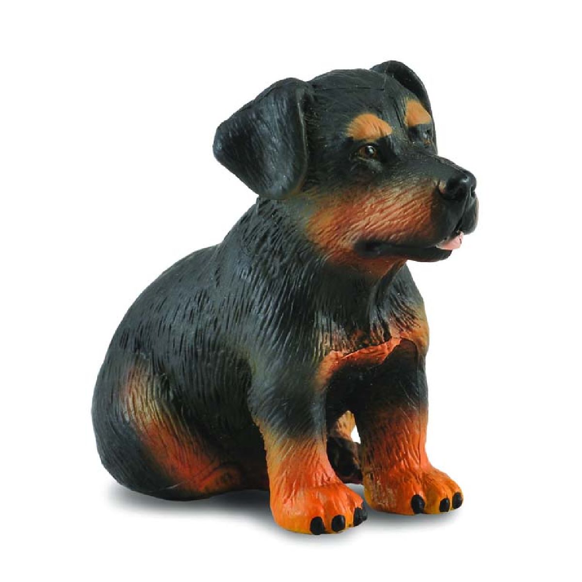 Rottweiler Cucciolo