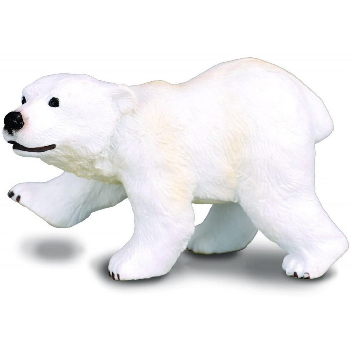 Orso Polare