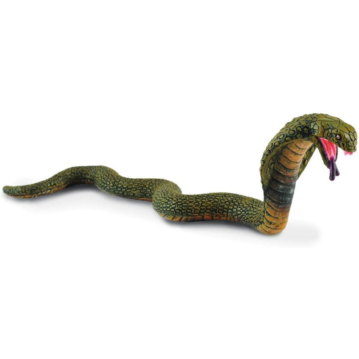 Re Cobra