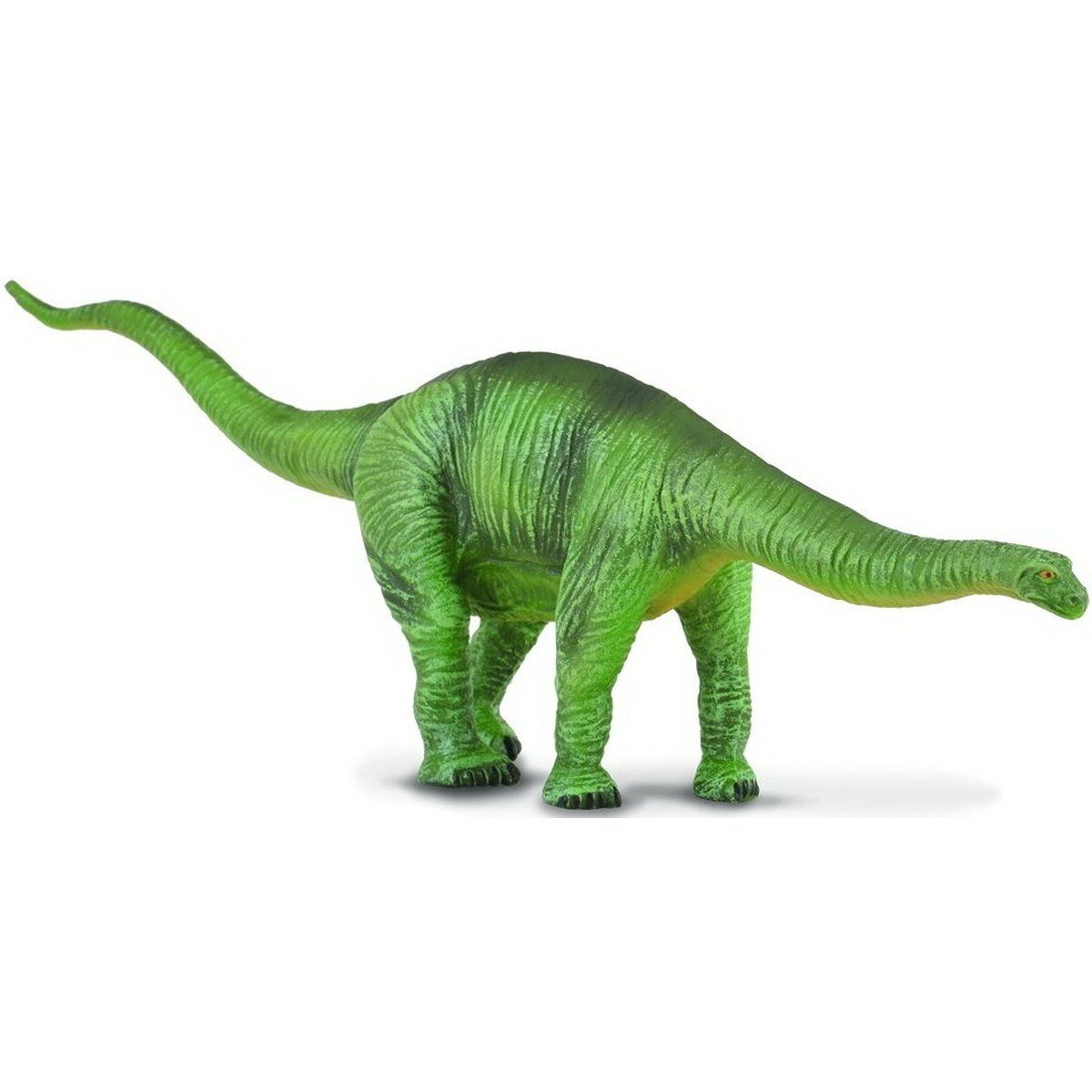 Cetiosaurus