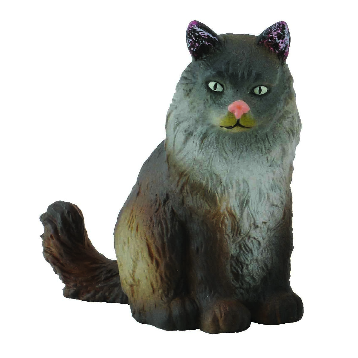 Gatto Norvegese delle Foreste - Seduto