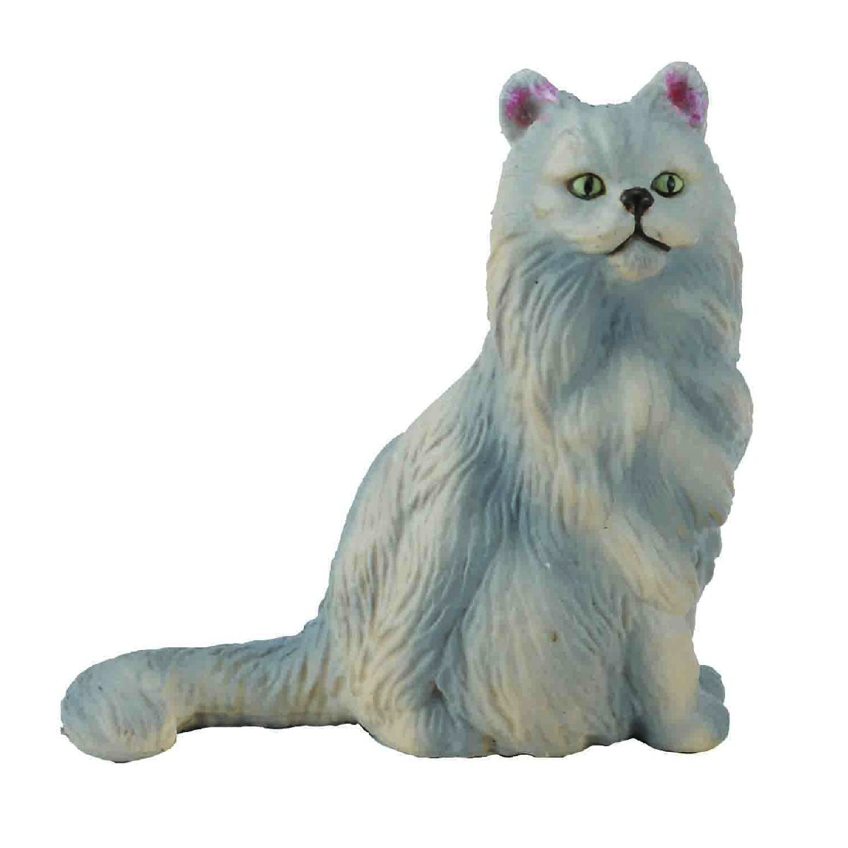 Gatto Persiano - Seduto