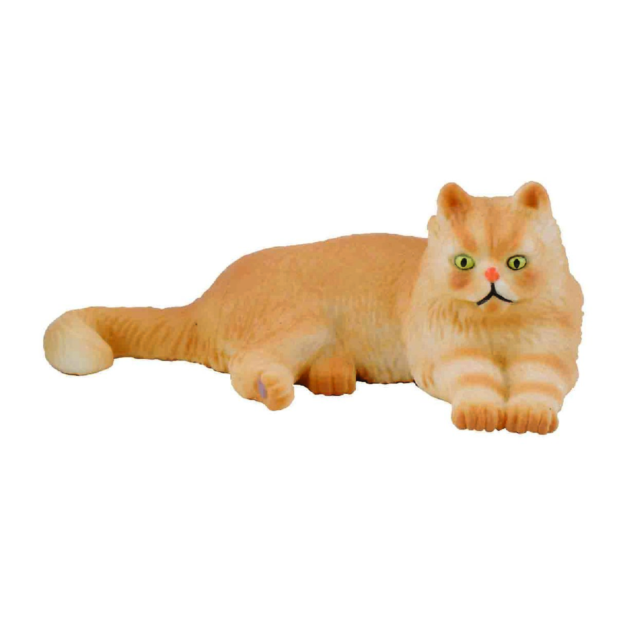 Gatto Persiano - Sdraiato