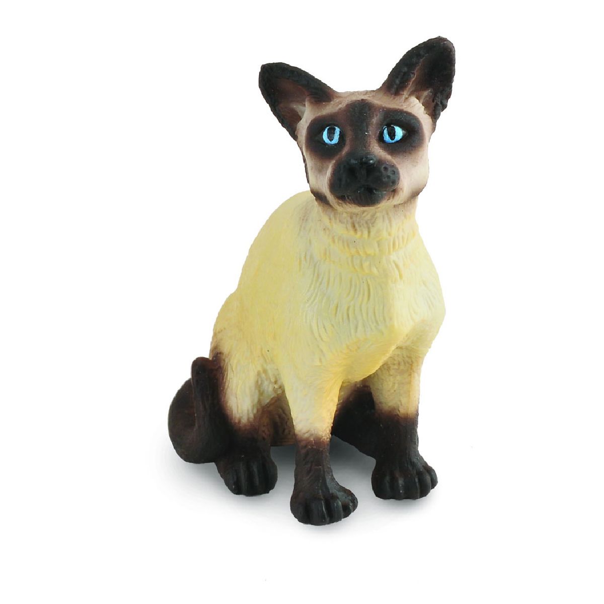 Gatto Siamese - Seduto