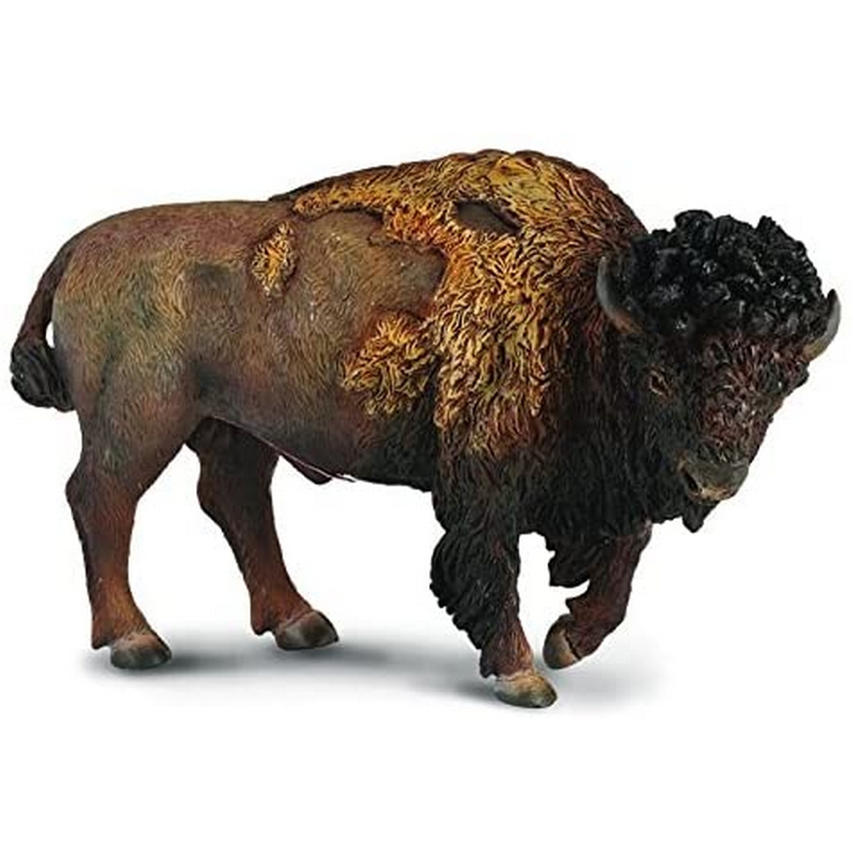 Bisonte Americano