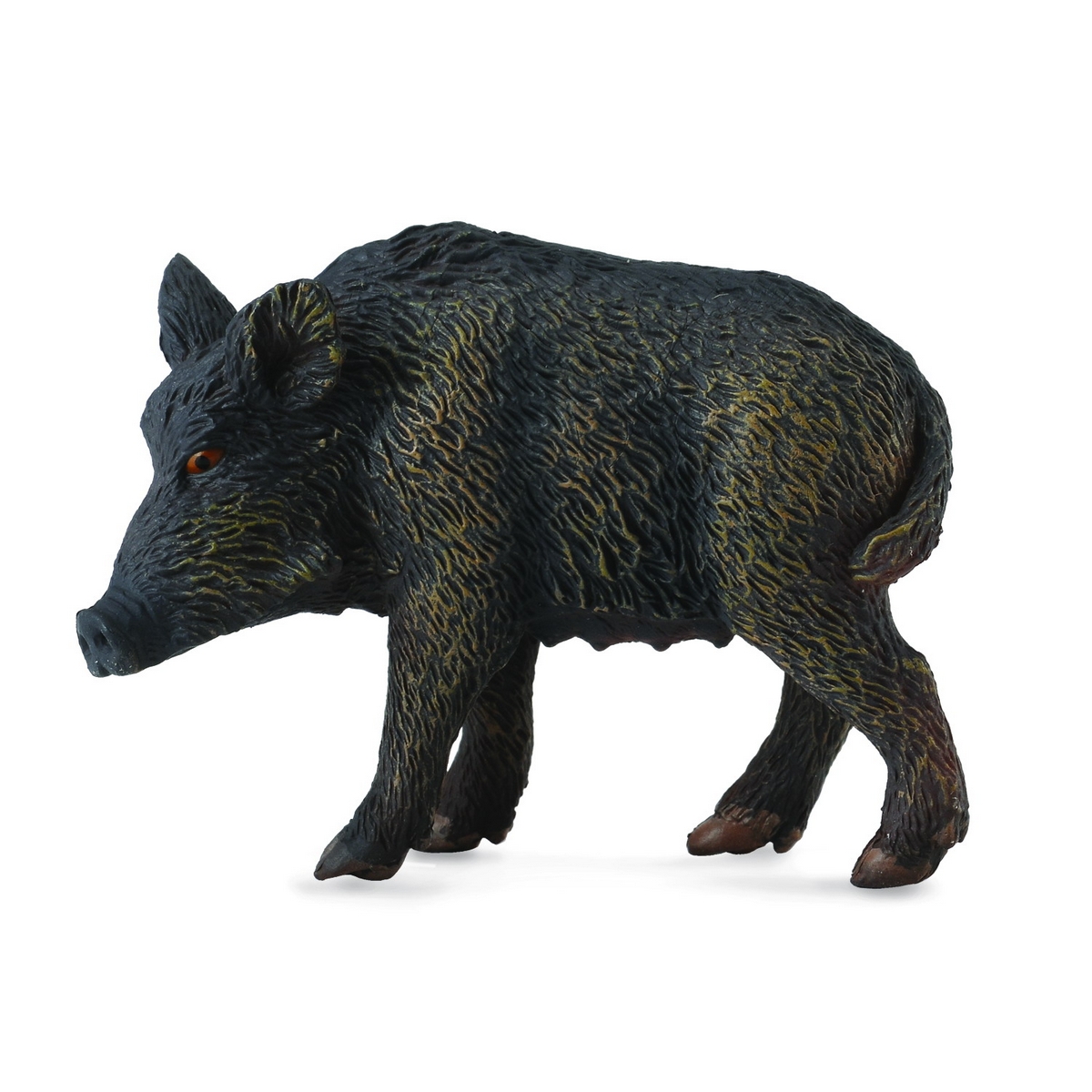 Cinghiale - Femmina