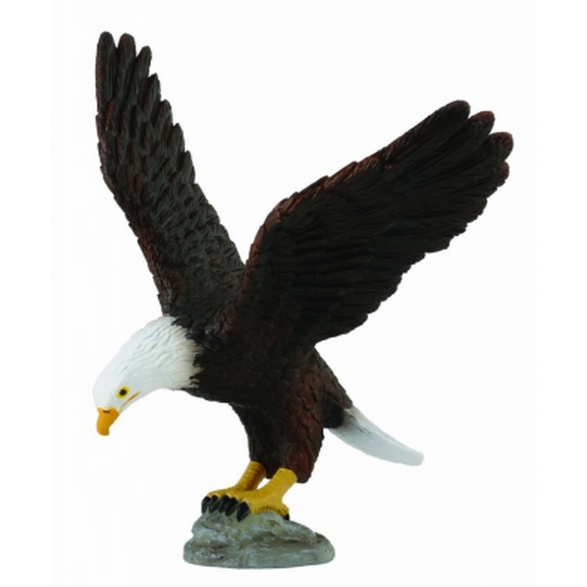 Aquila americana