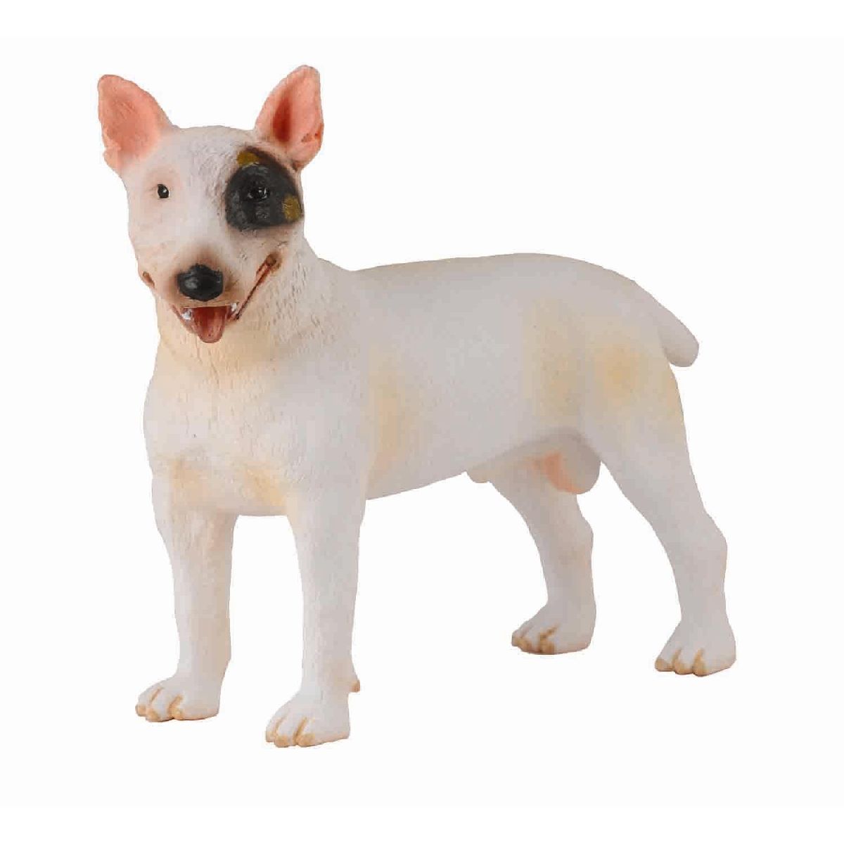 Bull Terrier