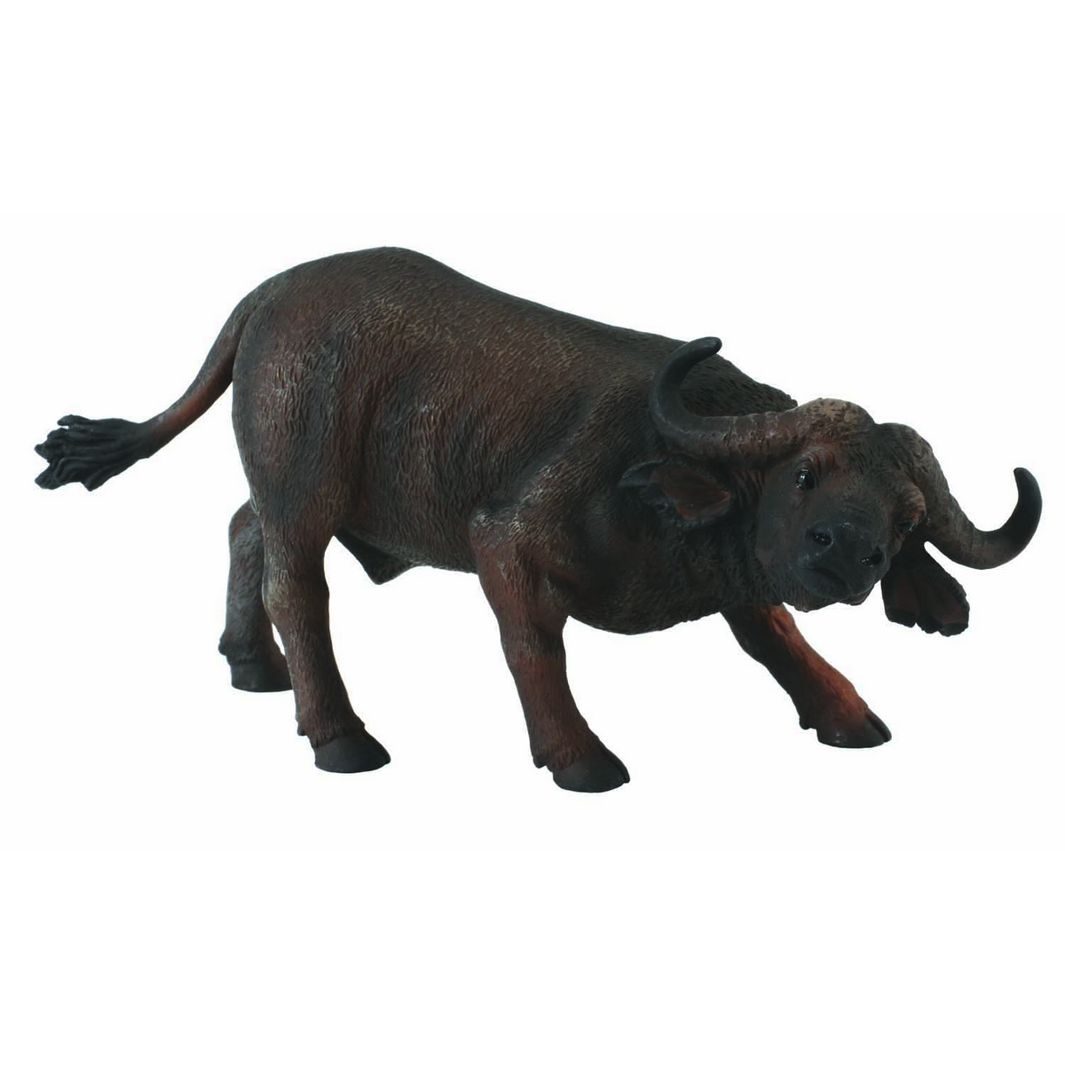 Bufalo africano