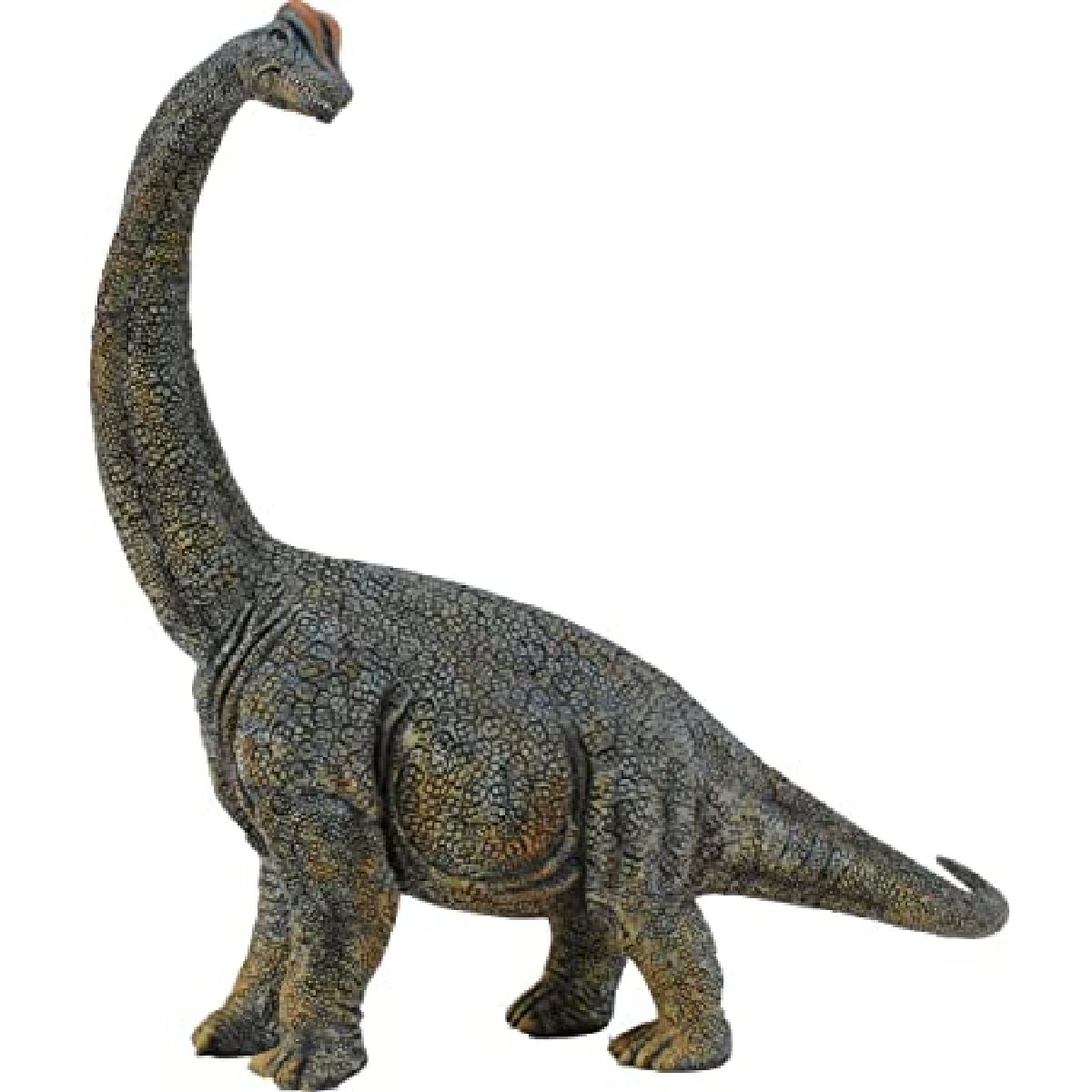 Brachiosauro - Deluxe scala 1:40
