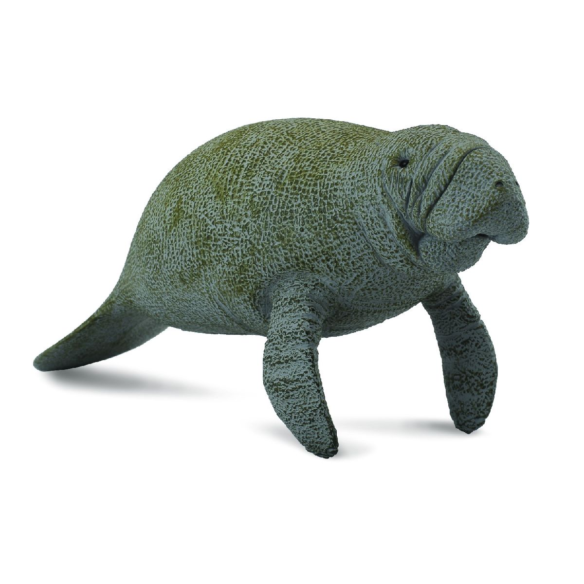 Lamantino
