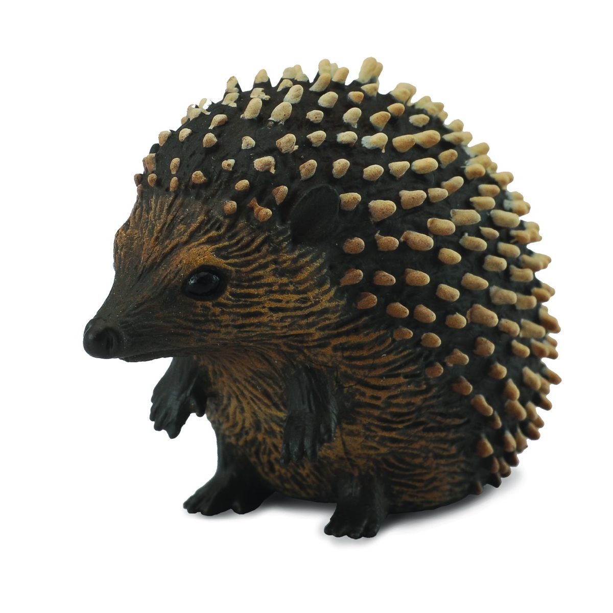 Porcospino