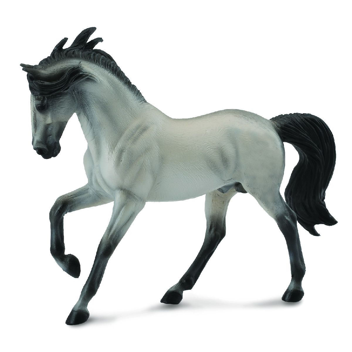 Stallone Grigio Andaluso