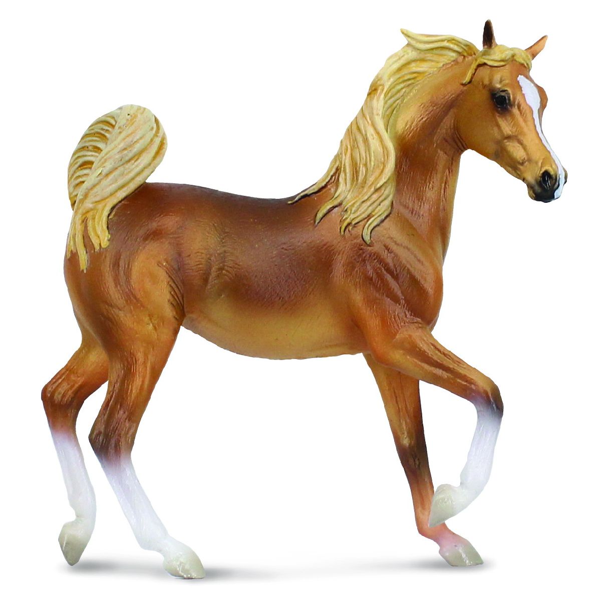 Cavallo Arabico Color Castagna
