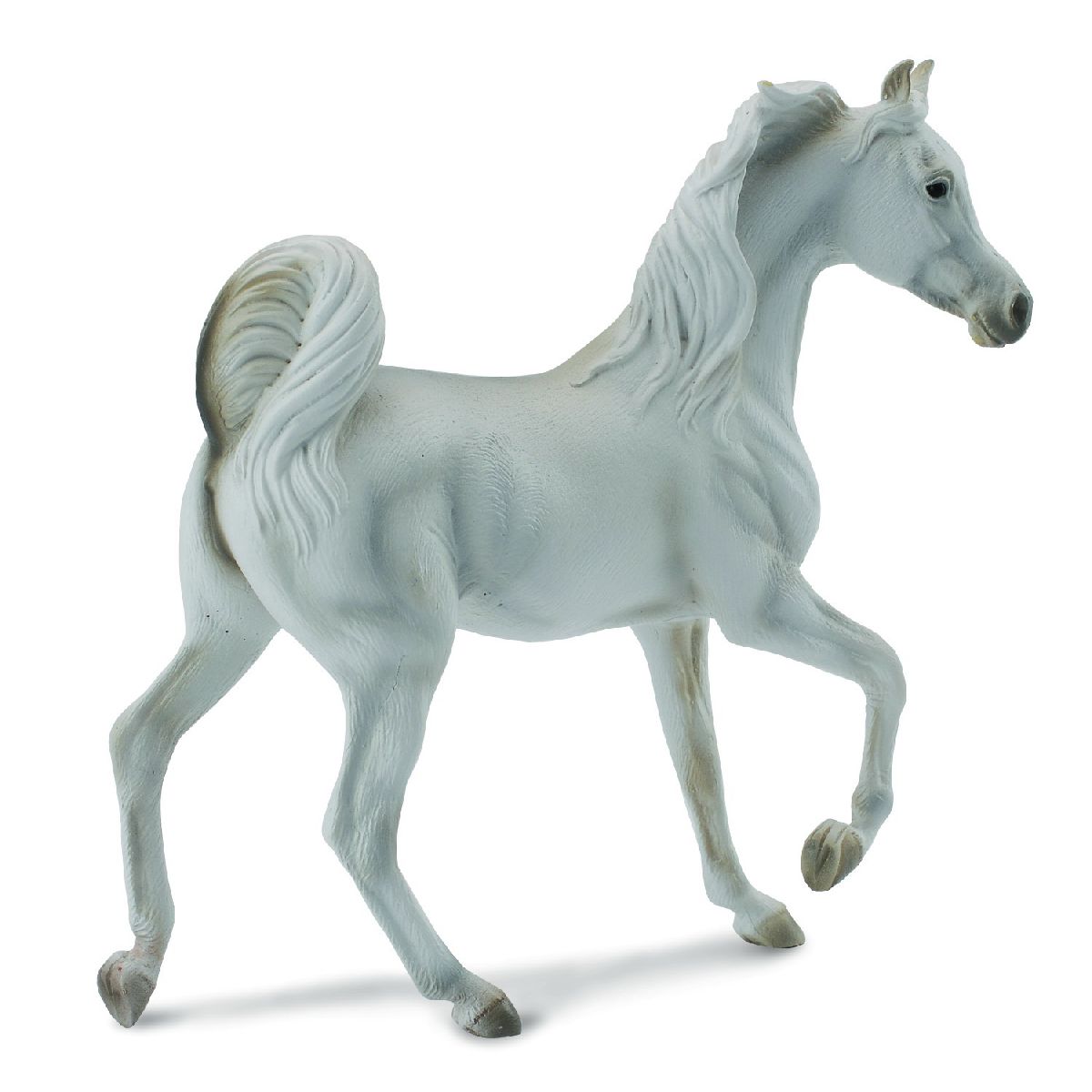 Cavallo Arabico Grigio