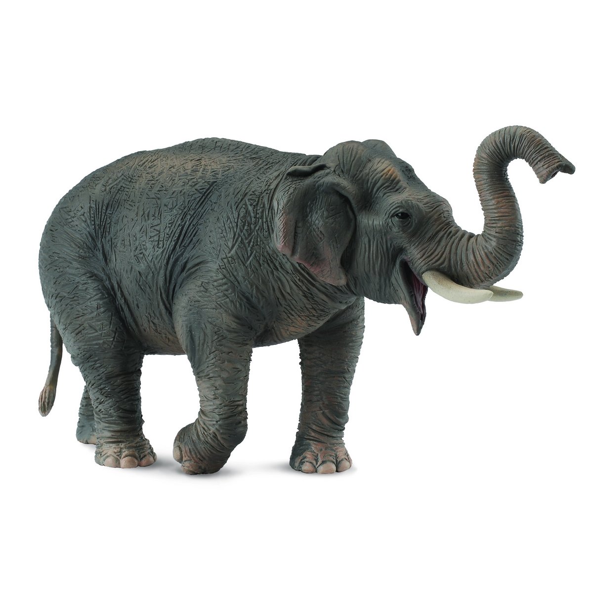 Elefante Asiatico