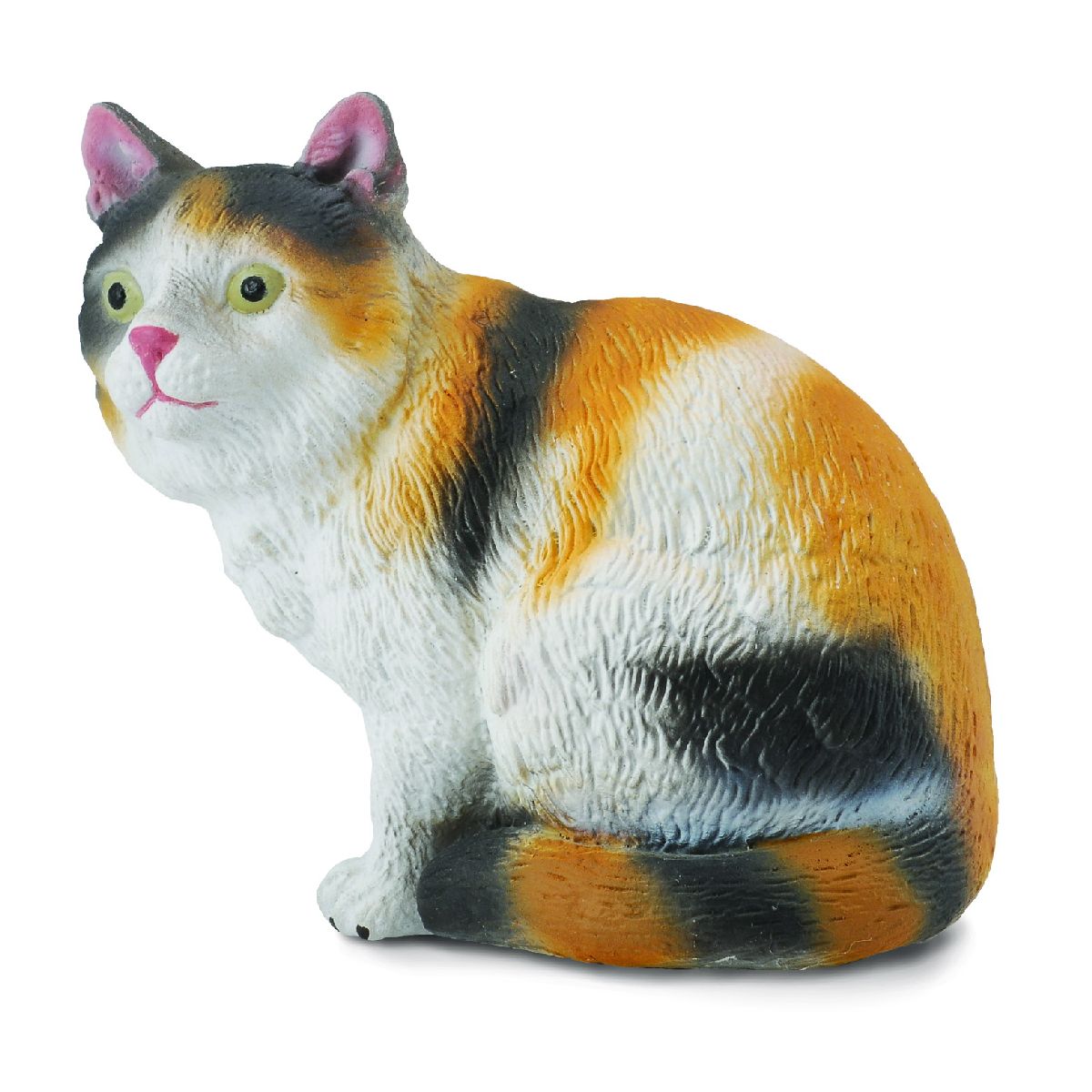 Gattino 3 colori - Seduto