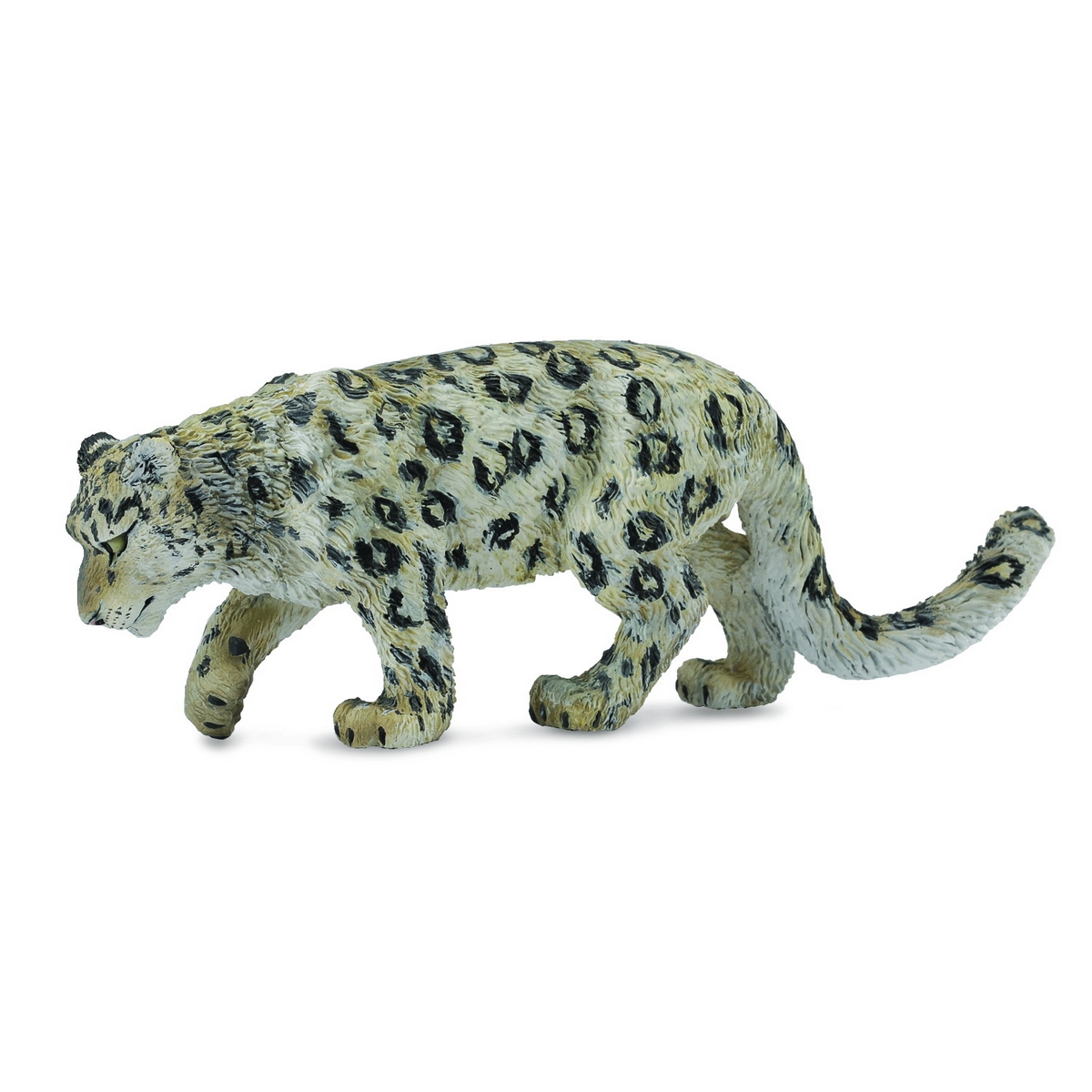 Leopardo Bianco