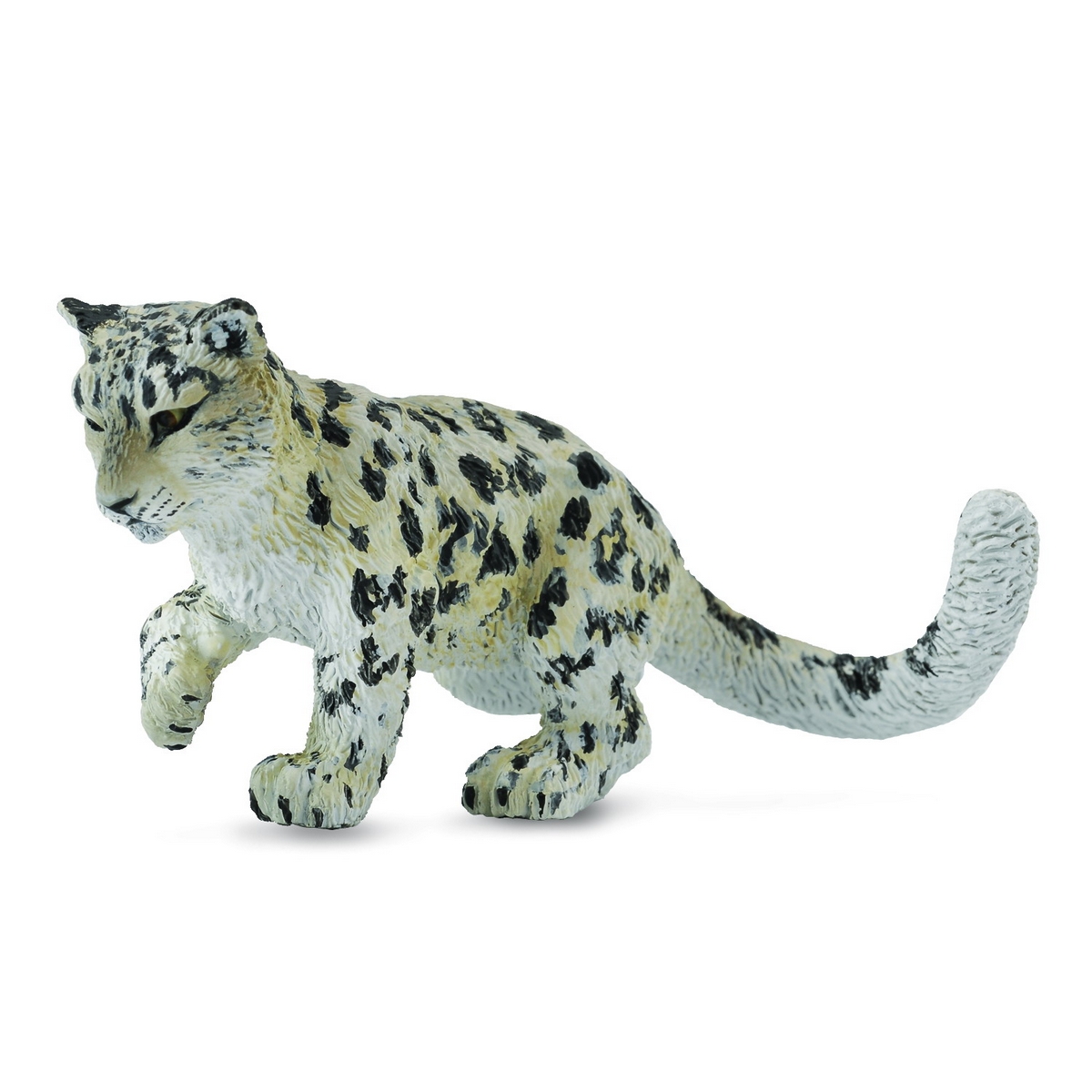 Leopardo Bianco Cucciolo