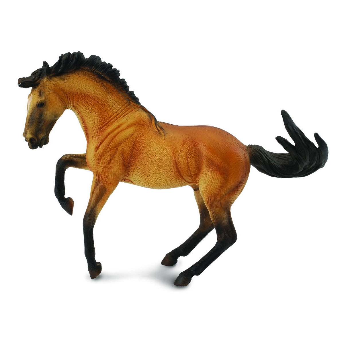 Stallone Lusitano Color Daino