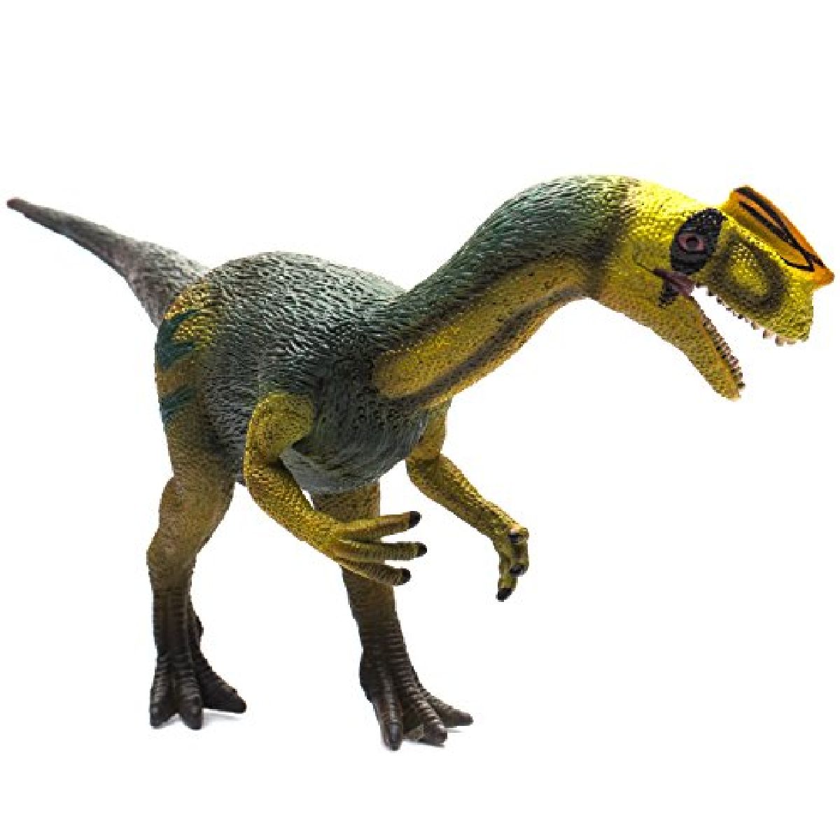 Proceratosauro