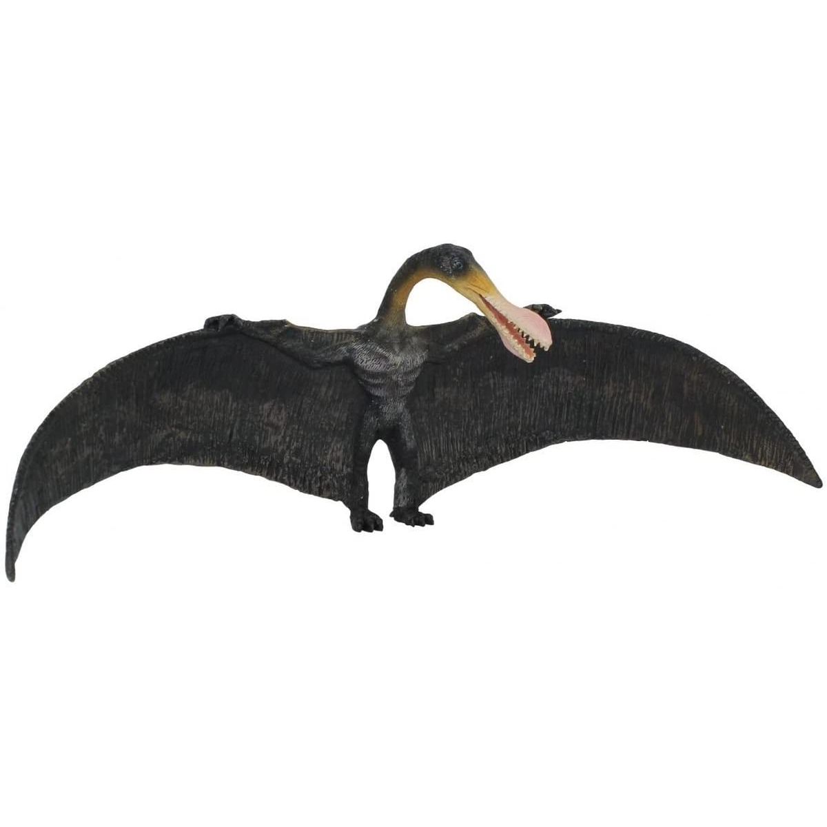 Ornithocheirus