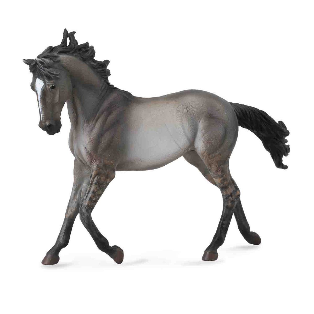 Cavallo Mustang mare e Grulla