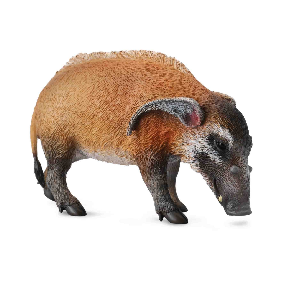 Potamochero