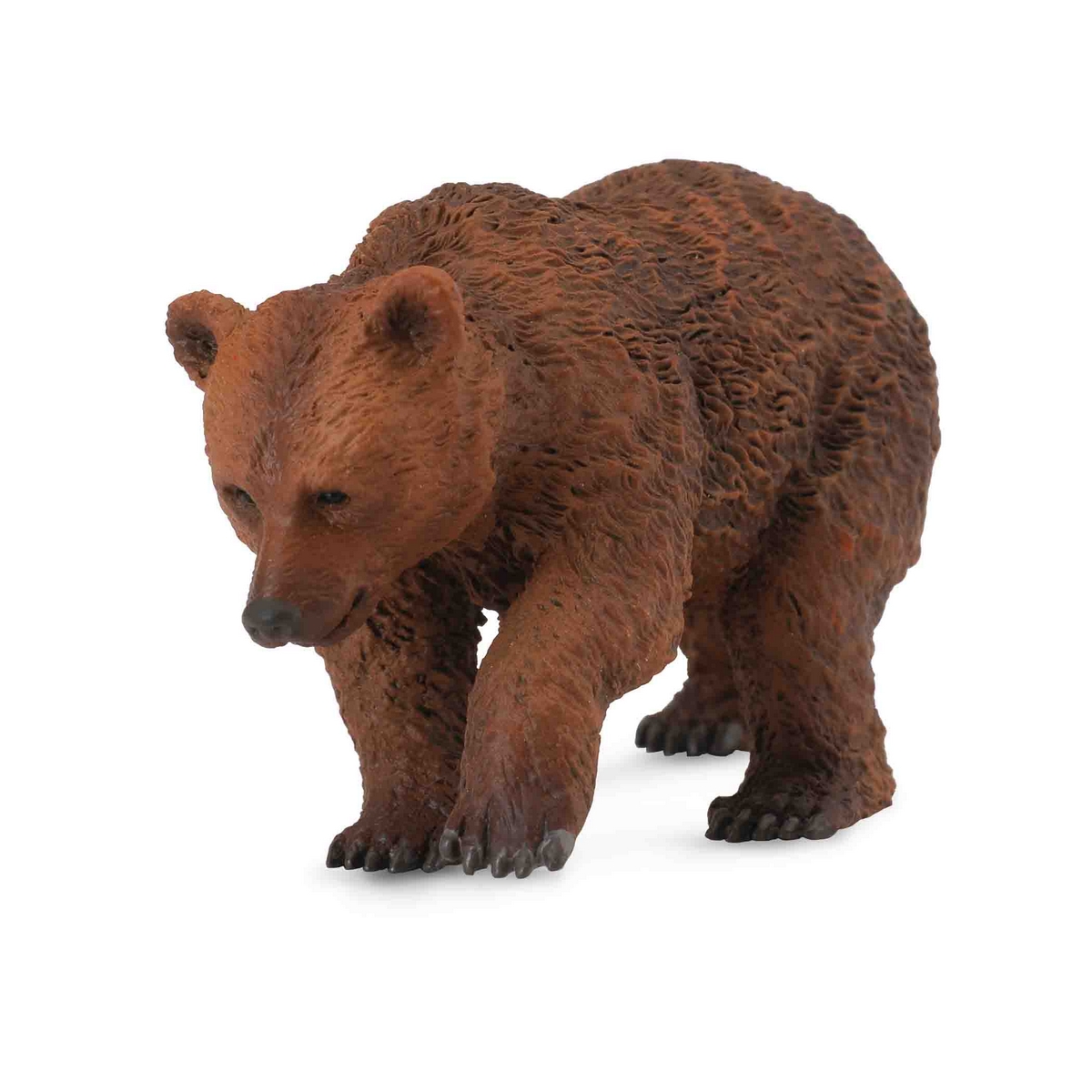 Orso bruono Cucciolo