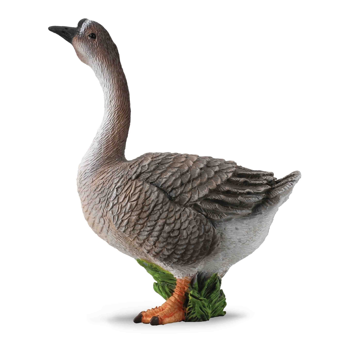 Oca