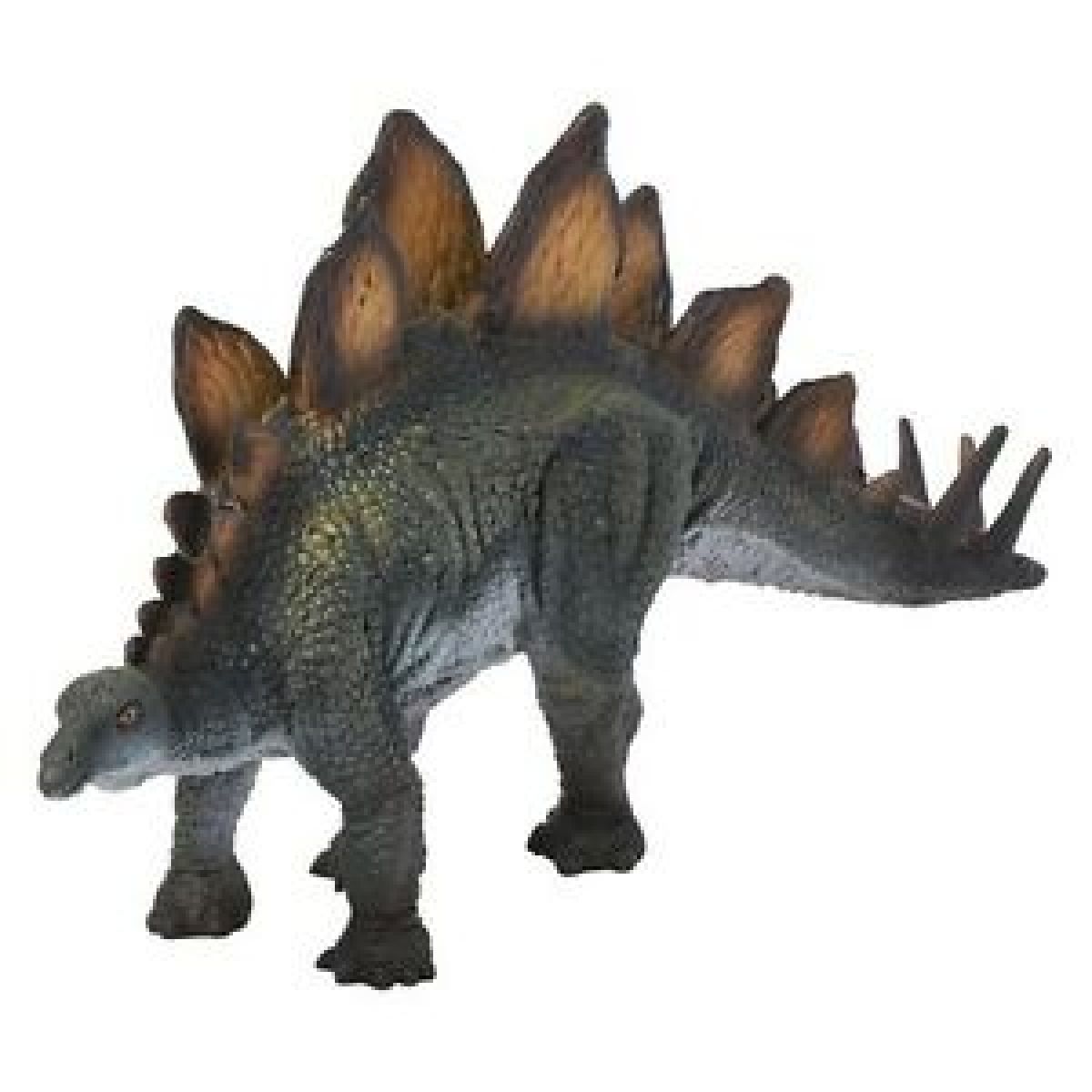 Stegosaurus