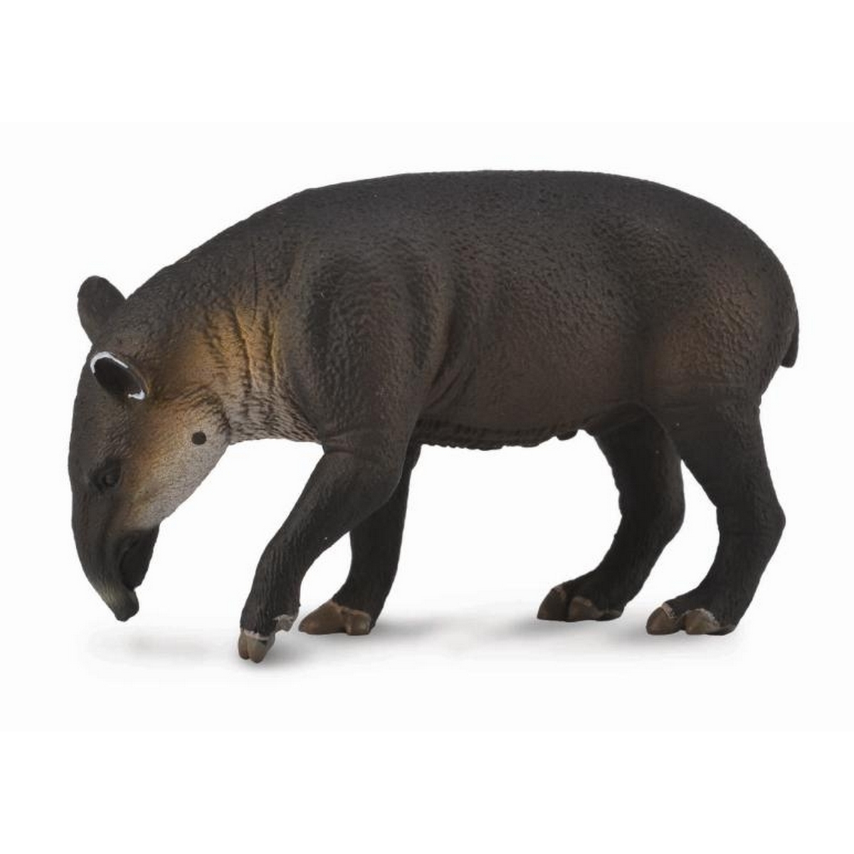 Tapiro Baird