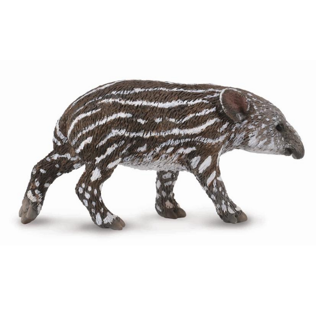 Cucciolo di Tapiro Baird