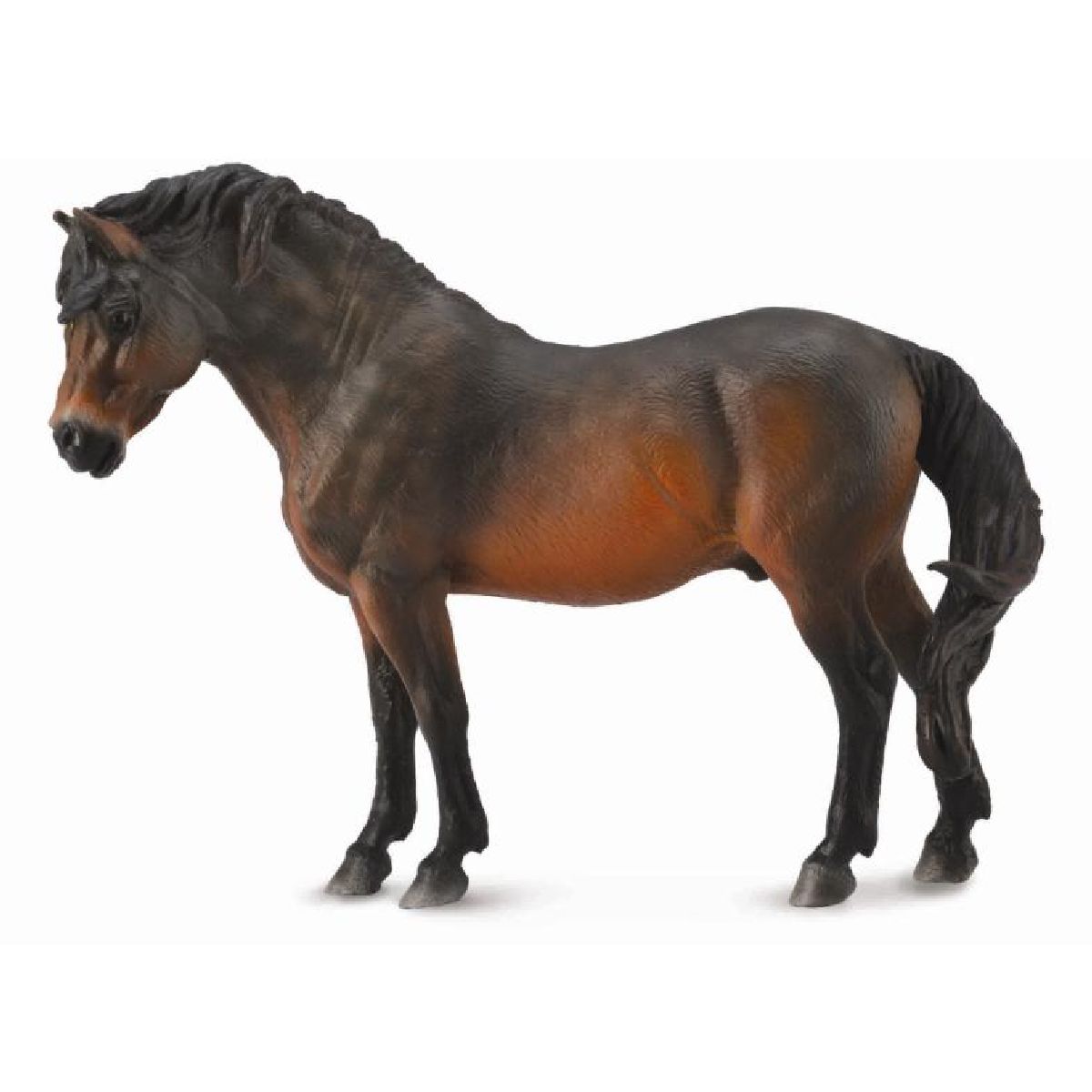 Pony Dartmoor Bay